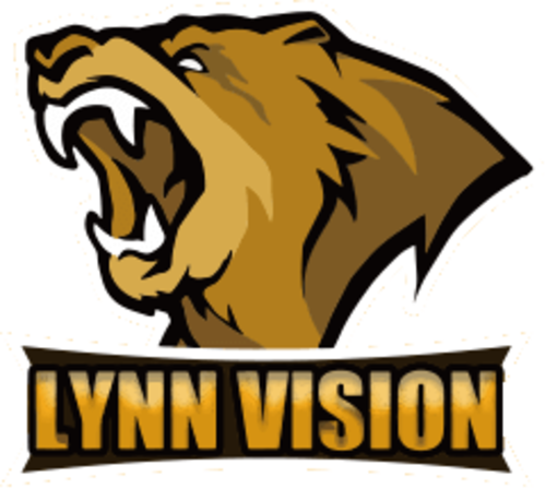 Lynn Vision